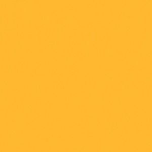 Meet your Posher, Augusta